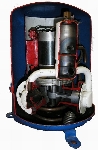 Photos2